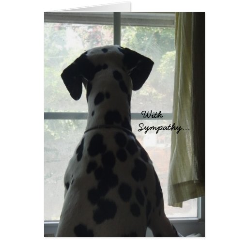 Carte de sympathie -- Perte de chien | Zazzle Carte de sympathie -- Perte de chien | Zazzle