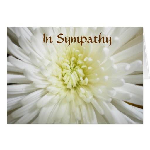 Carte de sympathie (pour n'importe qui)