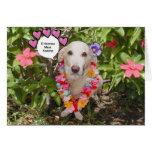 Carte de Valentine