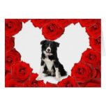 Carte de Valentine de chiot de border collie