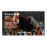 Carte de visite belge de cheval de trait