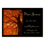 Carte de visite d'AutumnTree
