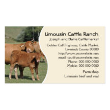 Carte de visite de bétail du Limousin