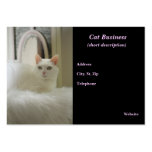 Carte de visite de chat