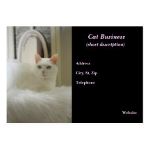 Carte de visite de chat