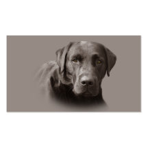 Carte de visite de chocolat de labrador retriever