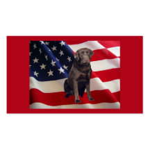 Carte de visite de chocolat de labrador retriever