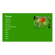 Carte de visite de framboises sauvages