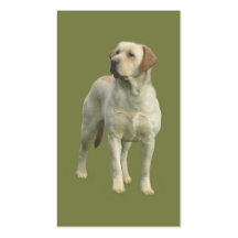 Carte de visite de labrador retriever