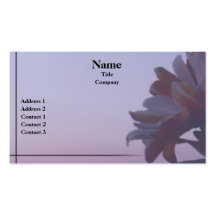Carte de visite de marguerite orange