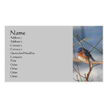 Carte de visite de nature d'oiseau bleu d'hiver