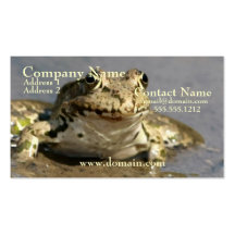 Carte de visite de photographie de grenouille