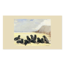 Carte de visite de plage de labrador retriever