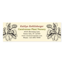 Carte de visite de plantes carnivores