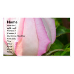 Carte de visite de rose de rose