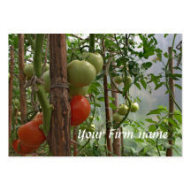 Carte de visite de tomates