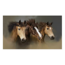 Carte de visite de trio de cheval sauvage