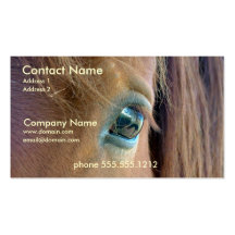 Carte de visite de vision de cheval