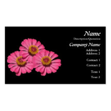 Carte de visite de ZINNIAS