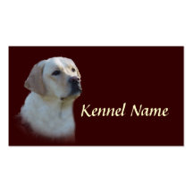 Carte de visite d'éleveur de labrador retriever