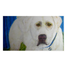 Carte de visite, délivrance de labrador retriever