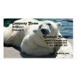 Carte de visite d'ours blanc