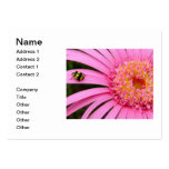 Carte de visite : Gerbera rose avec la coccinelle