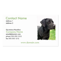 Carte de visite noir de chien de labrador retrieve