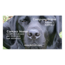 Carte de visite noir de chien de labrador retrieve