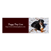 Carte de visite pour le soin des animaux familiers