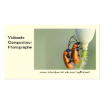 Carte de visite R.P cartes de visite