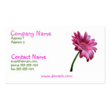Carte de visite rose de marguerite de Gerbera