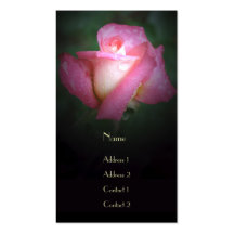 Carte de visite Rosée-Embrassé de rose de rose