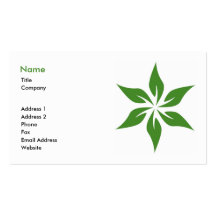 Carte de visite vert 3