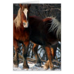 Carte de voeux belge de chevaux de trait
