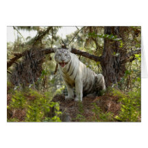 Carte de voeux blanche de tigre