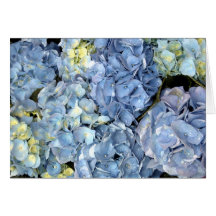 Carte de voeux bleue de fleur d'hortensia