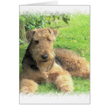 Carte de voeux d'Airedale Terrier