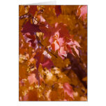 Carte de voeux de 2764 feuilles d'automne