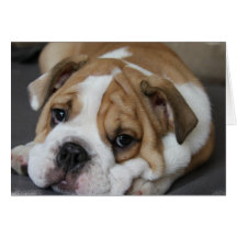 Carte de voeux de bouledogue de sommeil