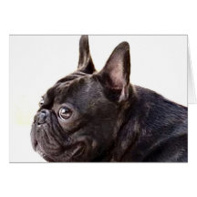 Carte de voeux de bouledogue français