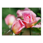 Carte de voeux de bourgeon de rose de rose