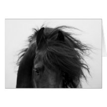 Carte de voeux de cheval des yeux du frison