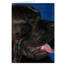 Carte de voeux de chien de Corso de canne