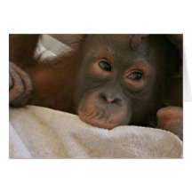 Carte de voeux de chimpanzé de bébé
