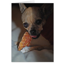 Carte de voeux de festin du chien de Twinkie