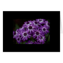 Carte de voeux de fleurs