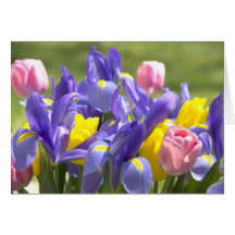 Carte de voeux de fleurs de tulipes et d'iris