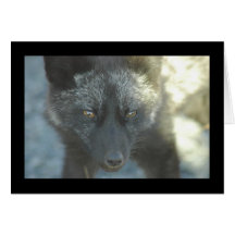 Carte de voeux de Fox