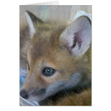 Carte de voeux de Fox de bébé